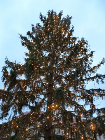 weihnachtsbaum-striezelmarkt-2010